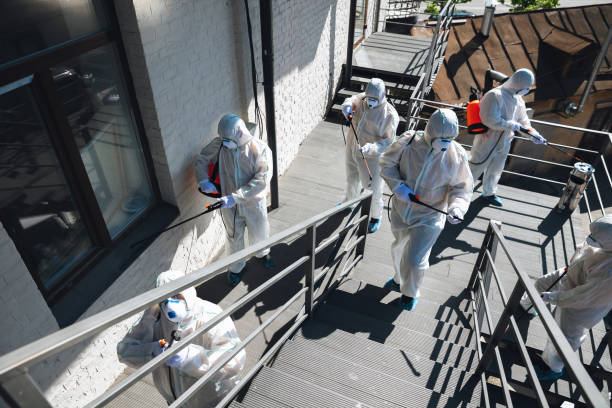 Best Attic Mold Removal  in Junction City, KY