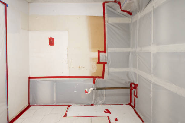 Forensic Mold Investigation in Junction City, KY